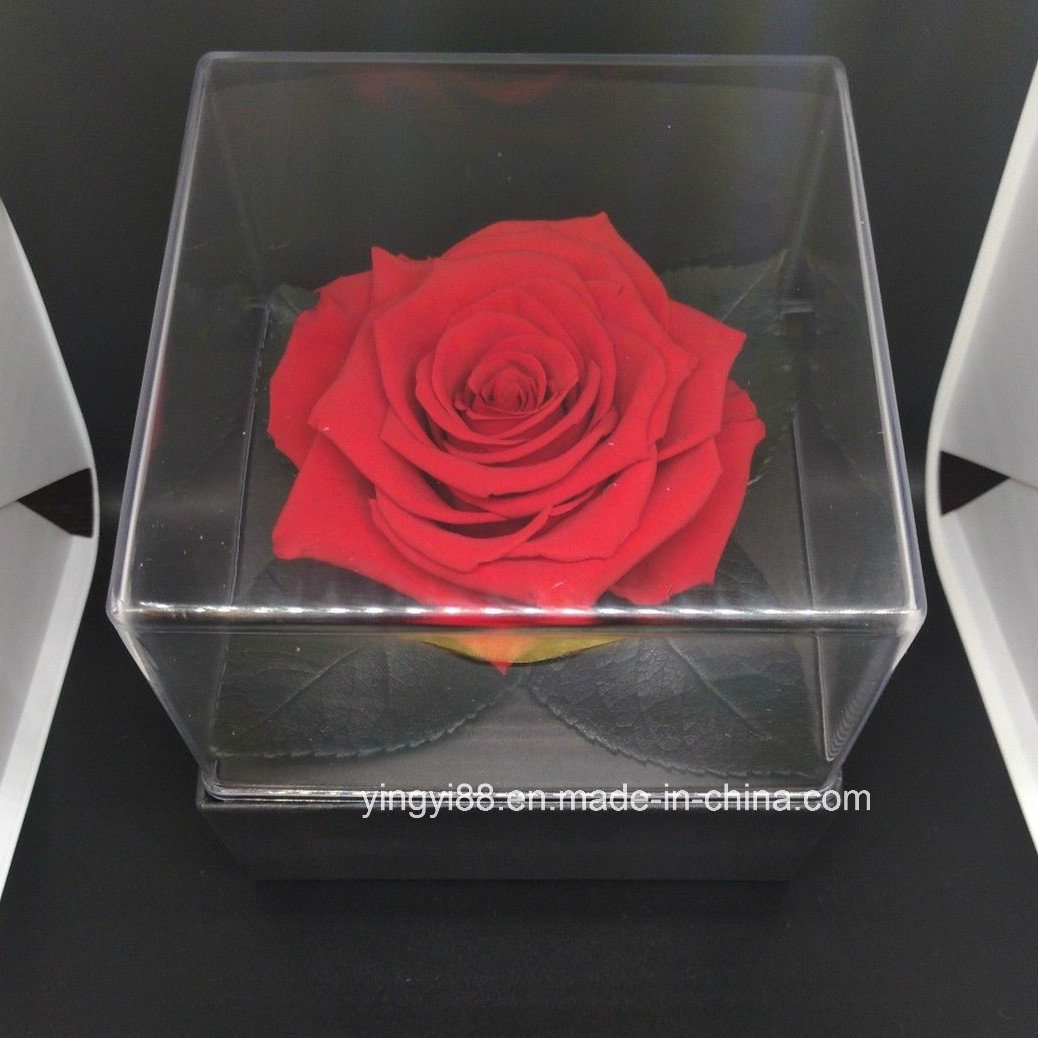 /proimages/2f0j00CyKQEnhSfIgB/beautifull-preserved-acrylic-rose-box-flower-box-last-forever.jpg