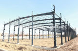 Reliable Design Steel Structure Warehouse/Frames/Steel Hangers (DG3-048)