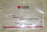 Company Logo Printing PVC File Folder