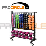 Crossfit Gym Equipment High Quality Storage Dumbbell Rack (PC-DR1004)