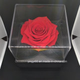 Beautifull Preserved Acrylic Rose Box Flower Box Last Forever