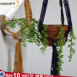 White Cotton Plant Hanger with Wood Tray