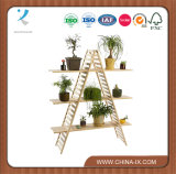 Customized a Frame Shelf Wooden Retail Shelving with 3 Shelves