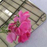 Decorative Unframed Wall Mirror with SGS Certification