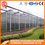 Qingzhou Shengqiang Greenhouse Technology Engineering Co., Ltd.