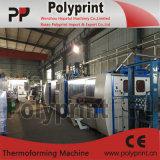 PP Cup Thermoforming Machine with High Speed (PPTF-70T)