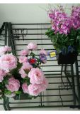 Display Shelf, Stand, Center Rack for Flower