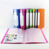 Customized and Personalized Printing File Folder