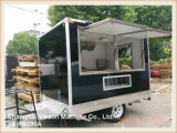 Ys-Fb290A 2.9m Black Glass Re-Enforced Panel Pizza Van for Sale