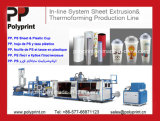 High-Performance Plastic Cup Thermoforming Machine & Extruder for PP/PS/Pet Cup