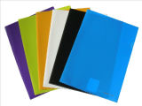 Customized L Type Folder /File Folder E310