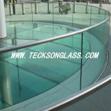 Curved or Flat Tempered Swimming Pool Glass Fencing Panels