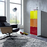 Color Mixed Shoe Storage Cabinet (HF-EY08198)