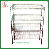 Chrome Plated or Powder Coated Wire Shelf (JT-F05)