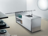 Modern Cabinet for Kitchen (HS-045)