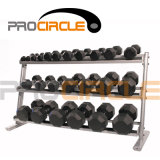 High Quality Standard Crossfit Dumbbell Gym Rack (PC-DR1003)
