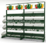 Backplane Supermaket Display Fruit Shelf Vegetable Wire Rack