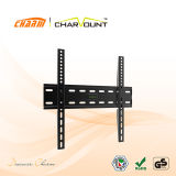 Fixed Style Metal TV Stand/TV Holder/TV Rack (CT-PLB-E813)