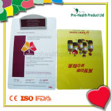 Plastic Clipboard With Cover (pH4261)