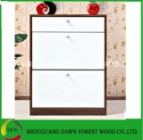 Dawn Forests Wood Industrial Shouguang Co., Ltd.