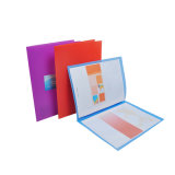 White/Red/Blue/Green Colorful File Folders