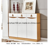 E1 Grade MDF/Pb Shoes Cabinet