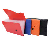 Office & School Stationery Custom PP Plastic 13 Pockets Expanding File Folder with Brand