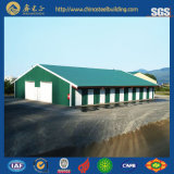 Prefabricted Steel Building/Steel Structure Construction (SSW-15302)