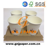 Custom Logo Printing Disposalbe Paper Cup with Holder