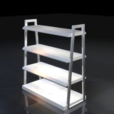 Precision Metal Display Stand with Competitive Price (LFDS0060)