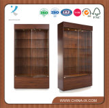 Wall Display Case with Solid Back Panel