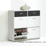 Color Mix Fashion Style Shoe Storage Cabinet (HF-EY08143)