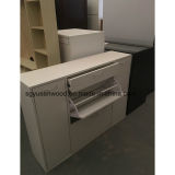 New Style White Shoe Cabinet