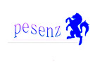 Shenzhen Pesenz Trading Co., Ltd.