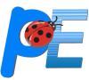 Shanghai Pioneer Effort Arts & Crafts Co., Ltd.