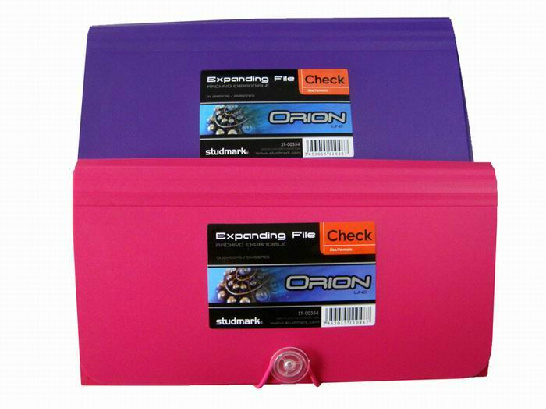 Mini 12 Divider Expanding File (DP00354)
