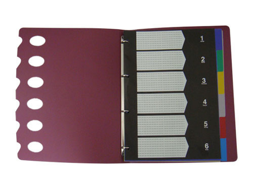 Index Divider Clip Folder with Cover/ Document File (B3511)
