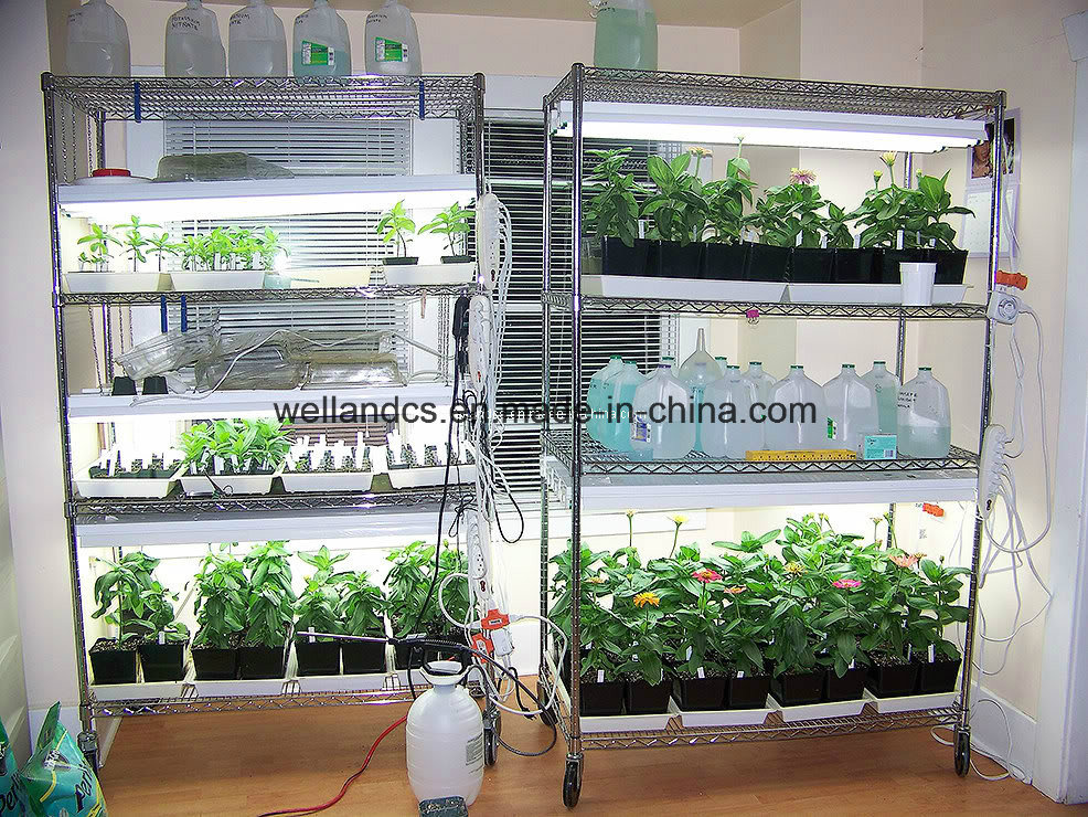 Chrome Adjustable Heavy Duty Greenhouse Storage Wire Shelf Rack