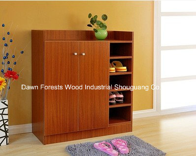 Simple Modern 3 Layers Shoe Cabinet/Shoe Case