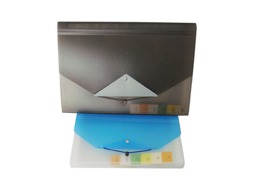 Contrast-Collar Expanding File - 13 Pockets (E1506)