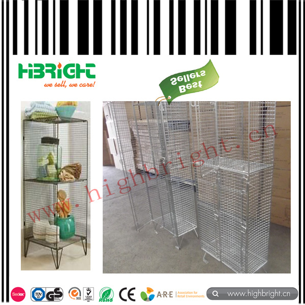 Double Locker Wire Mesh Locker for Storage