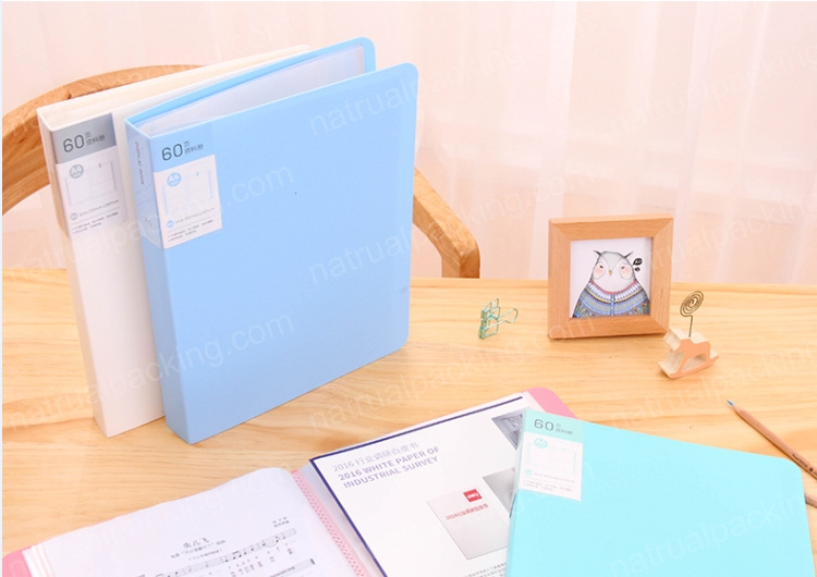China Supplier Custom A4 Size Paper File Folder