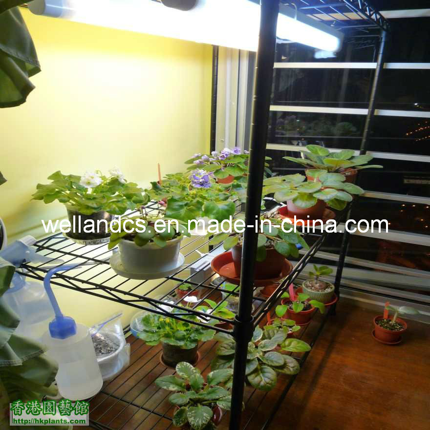 Adjustable Black Greenhouse Storage Metal Wire Shelving Rack