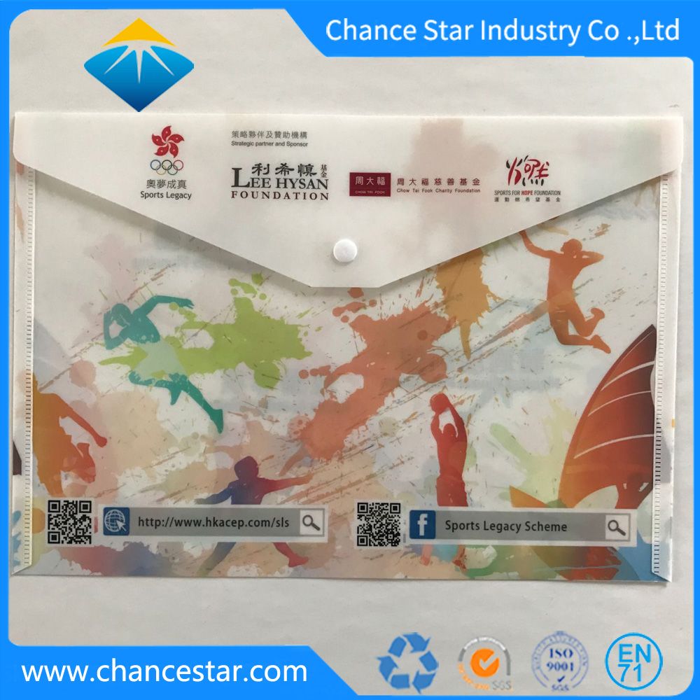 Custom Plastic A4 Clear File Folder Document Holder