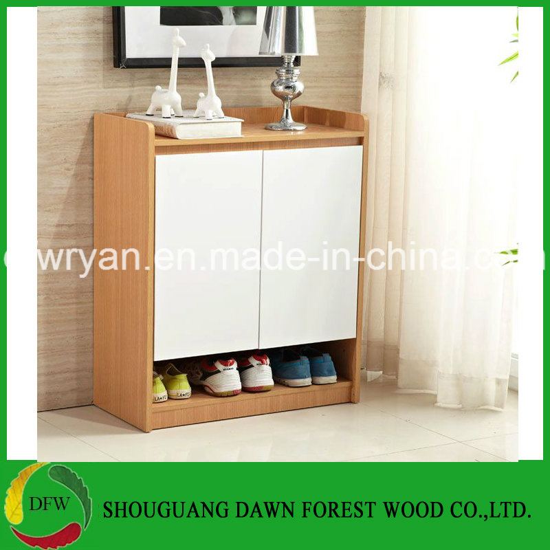 Best-Selling Cheap Shoe Cabinet