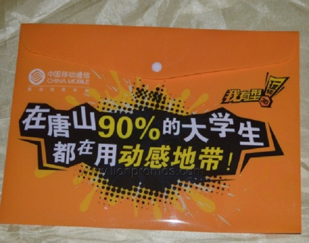 Custom Printing PP Document Bag