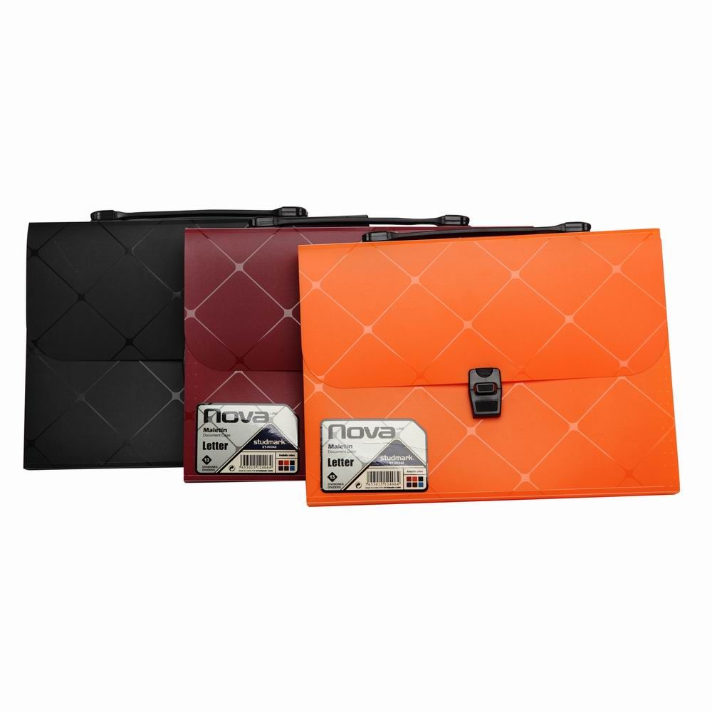 12 Divider Expanding File (DP00341)