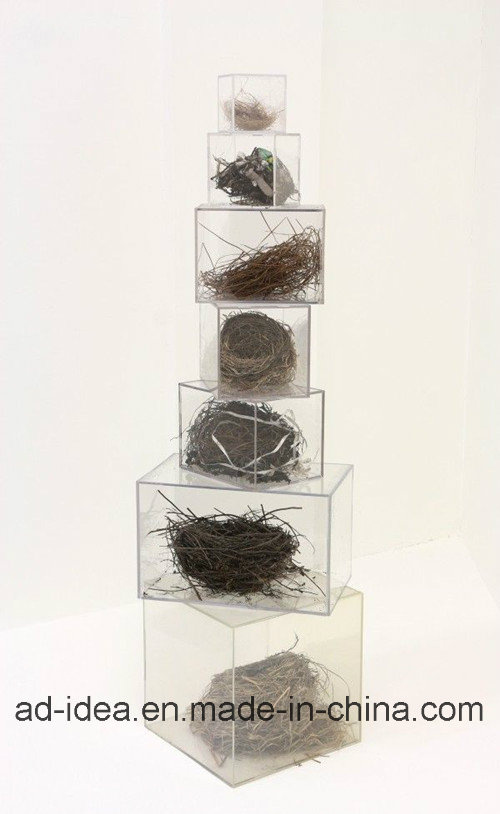 Different Size Acrylic Display Stand / Acrylic Display Rack