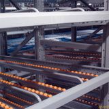 Fifo Carton Flow Rack for Live Storage