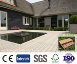 WPC Decking/WPC Wall Panel/WPC Fence/WPC Stair